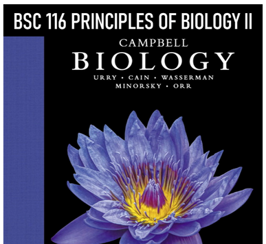 Principles of Biology II